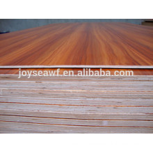 natural veneer white oak/maple/birch/cherry high quality plywood water proof for home decoration